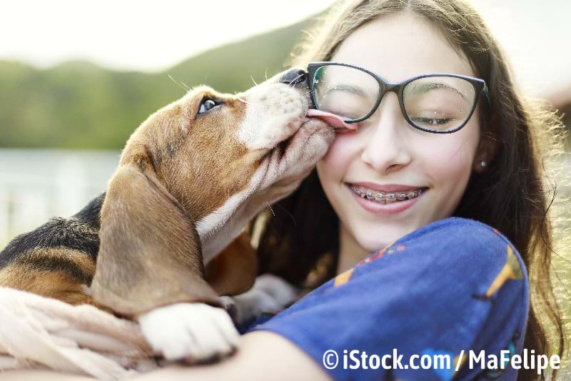 Gothaer Tierversicherung für optimale Fürsorge Ihres Hundes