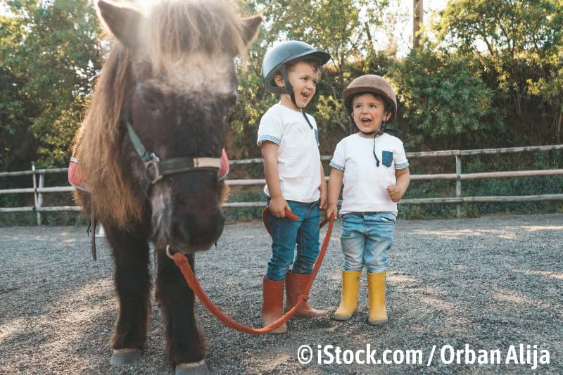 Gothaer Tierversicherung für optimale Fürsorge Ihres Pferdes