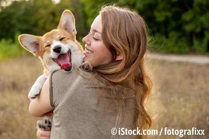 Gothaer Tierversicherung für optimale Fürsorge Ihres Hundes